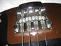 Rickenbacker 3000/4 Mod, Brown: Close up - Free
