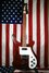 Rickenbacker 480/6 , Eggplant: Full Instrument - Front