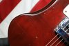 Rickenbacker 480/6 , Eggplant: Close up - Free2