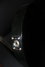 Rickenbacker 330/6 , Jetglo: Free image2
