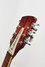 Rickenbacker 360/12 , Fireglo: Headstock