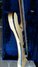Rickenbacker 4003/4 BH BT, Mapleglo: Close up - Free
