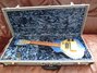 Rickenbacker 5002/8 V58, Blueburst: Close up - Free