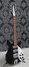 Rickenbacker 355/12 JL, Jetglo: Full Instrument - Front