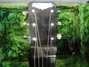 Rickenbacker B/6 LapSteel, Black: Headstock