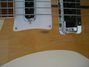 Rickenbacker 4001/4 , Mapleglo: Close up - Free2
