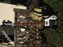 Rickenbacker 4001/4 , Jetglo: Close up - Free