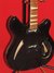 Rickenbacker 360/12 Mod, Black: Body - Front