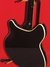 Rickenbacker 360/12 Mod, Black: Full Instrument - Rear