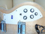 Rickenbacker 381/6 V69, Mapleglo: Close up - Free