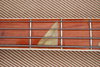 Rickenbacker 4001/4 , Burgundy: Neck - Front