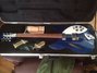 Rickenbacker 330/12 , Midnightblue: Free image