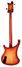 Rickenbacker 4004/4 Cii, Fireglo: Full Instrument - Rear