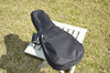 Rickenbacker BD/6 LapSteel, Black: Close up - Free