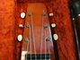 Rickenbacker 100/6 LapSteel, Burgundy: Headstock