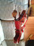 Rickenbacker 4001/4 , Burgundy: Free image