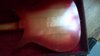 Rickenbacker ES16/6 Electro, Fireglo: Body - Rear