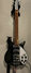 Rickenbacker 350/6 V63, Jetglo: Full Instrument - Front