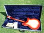Rickenbacker 360/12 , Fireglo: Full Instrument - Rear