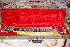 Rickenbacker SW/8 LapSteel, Mapleglo: Close up - Free2
