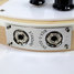 Rickenbacker 620/6 , Mapleglo: Free image2