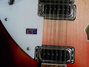 Rickenbacker 360/12 , Fireglo: Close up - Free2
