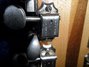 Rickenbacker 360/12 , Natural: Close up - Free2