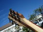 Rickenbacker 340/6 Mod, Mapleglo: Headstock - Rear
