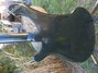 Nov 1979 Rickenbacker 4001/4 , Jetglo: Body - Rear