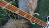 Rickenbacker 4001/4 , Jetglo: Close up - Free2