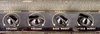 Rickenbacker M-15/amp , Gray: Close up - Free