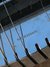 Rickenbacker B Post War/6 LapSteel, Black: Close up - Free