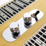 Rickenbacker DW12/12 Console Steel, Blonde: Free image