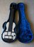 Rickenbacker B/6 LapSteel, Black: Free image