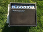 Rickenbacker TR14/amp , Black crinkle: Free image