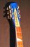 Rickenbacker 660/12 , Blueburst: Neck - Front