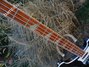 Rickenbacker 4003/4 , Jetglo: Free image2