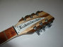 Rickenbacker 370/12 , Mapleglo: Headstock