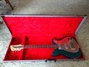 Rickenbacker 450/6 Combo, Cloverfield Green: Free image