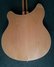 Oct 2004 Rickenbacker 360/6 , Mapleglo: Body - Rear