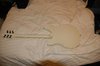 Rickenbacker 330/6 BH BT, White: Full Instrument - Rear