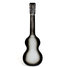 Rickenbacker 59/6 LapSteel, Gray: Full Instrument - Rear