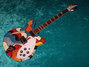 Rickenbacker 360/6 , Custom: Full Instrument - Front