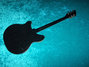 Rickenbacker 360/6 , Custom: Full Instrument - Rear