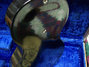 Dec 1949 Rickenbacker BD/6 LapSteel, Black: Body - Rear
