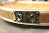 Rickenbacker 381/6 V69, Mapleglo: Close up - Free