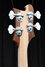 Rickenbacker 4003/4 , Natural Walnut: Headstock - Rear