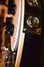 Rickenbacker 4003/4 , Midnightblue: Free image