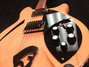 Rickenbacker 360/6 BH BT, Mapleglo: Body - Front