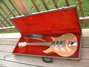 Rickenbacker 325/6 C58, Two tone brown: Full Instrument - Front